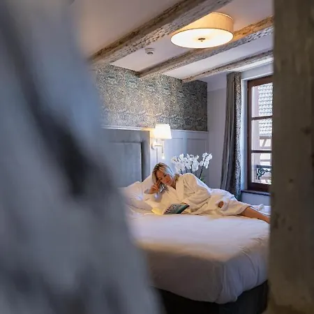 Logis Hotel-restaurant Du Mouton Hotel Ribeauvillé