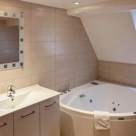 Logis Hotel-restaurant Du Mouton 3* Ribeauvillé