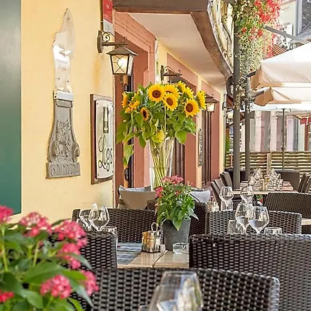 Logis Hotel-restaurant Du Mouton מלון 3*