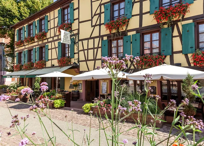 Logis Hotel-restaurant Du Mouton Hotel 3*